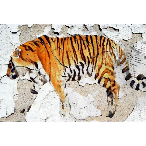 Siberian Tiger Black Modern Wood Framed Art Print with Double Matting by Orlov, Irena