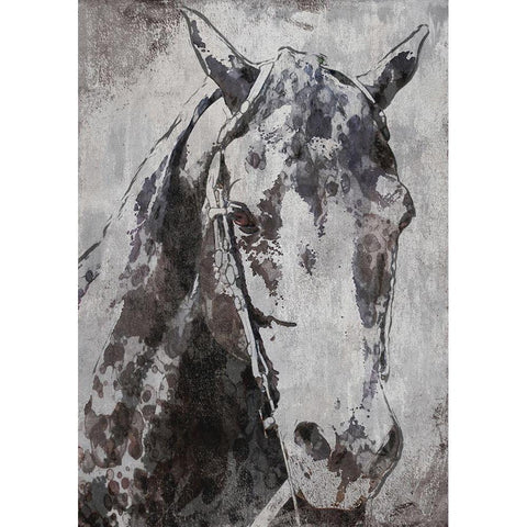 Morgan Horse- Black Beauty White Modern Wood Framed Art Print by Orlov, Irena