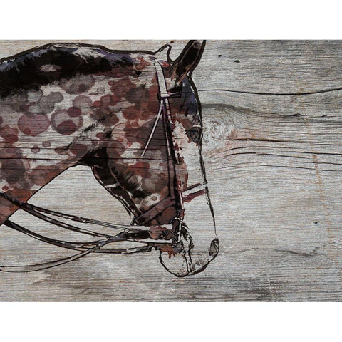 Chase-Brown Horse Black Modern Wood Framed Art Print with Double Matting by Orlov, Irena