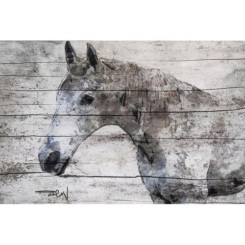 Gray Horse White Modern Wood Framed Art Print by Orlov, Irena