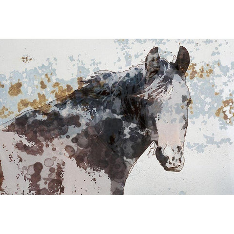 American Paint Horse White Modern Wood Framed Art Print by Orlov, Irena