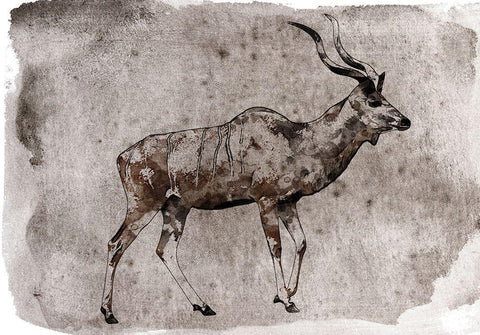 Kudu White Modern Wood Framed Art Print with Double Matting by Orlov, Irena