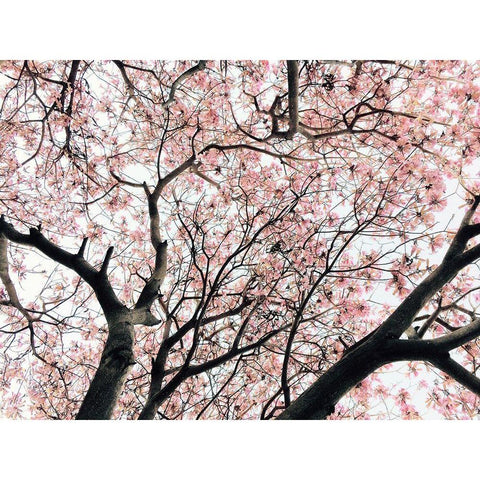 Japanese Motif Gold Ornate Wood Framed Art Print with Double Matting by Orlov, Irena