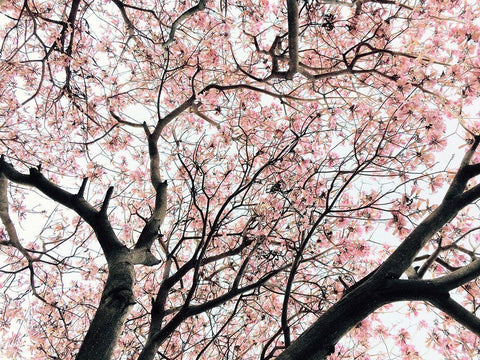 Japanese Motif White Modern Wood Framed Art Print with Double Matting by Orlov, Irena