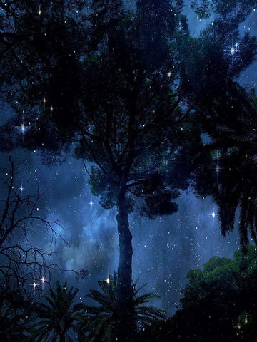 Midnight Sky Black Ornate Wood Framed Art Print with Double Matting by Orlov, Irena