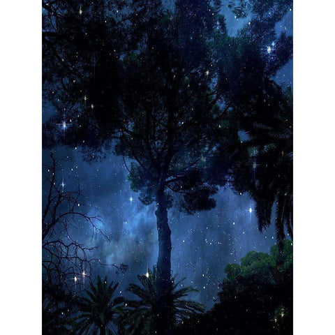 Midnight Sky White Modern Wood Framed Art Print by Orlov, Irena