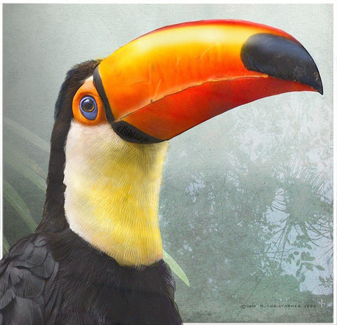 Toucan Portrait Black Ornate Wood Framed Art Print with Double Matting by Vest, Christopher