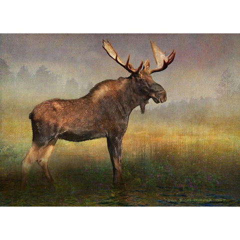 Moose in Fog and Flowers White Modern Wood Framed Art Print by Vest, Christopher