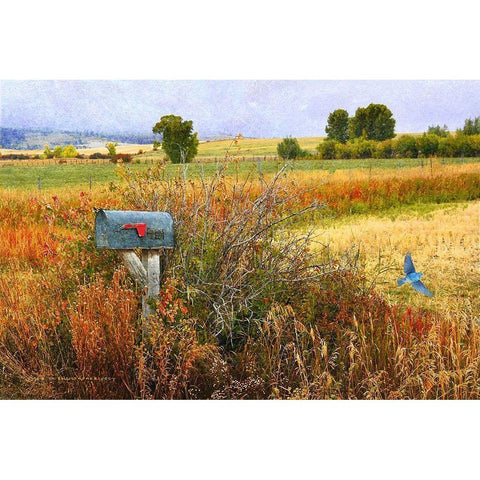 Ranch Mailbox White Modern Wood Framed Art Print by Vest, Christopher