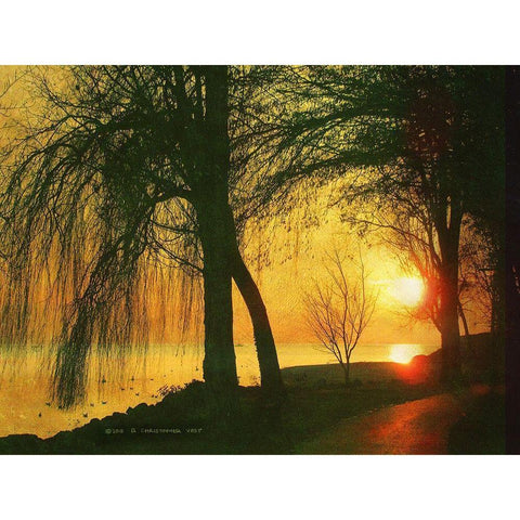 Weeping Willows Lac Leman Black Modern Wood Framed Art Print by Vest, Christopher