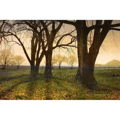 Meadow Dandelions Trees White Modern Wood Framed Art Print by Vest, Christopher