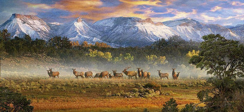 Mesa Verde Pano White Modern Wood Framed Art Print with Double Matting by Vest, Christopher