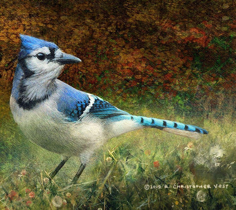 Bluejay Yard White Modern Wood Framed Art Print with Double Matting by Vest, Christopher