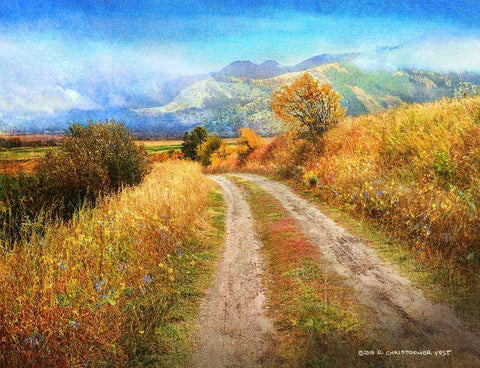 Nice Road Shot Idaho Black Ornate Wood Framed Art Print with Double Matting by Vest, Christopher