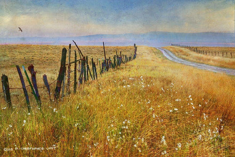 Quiet Road Out West White Modern Wood Framed Art Print with Double Matting by Vest, Christopher