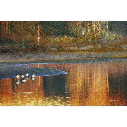Summit Lake Moonrise Gold Ornate Wood Framed Art Print with Double Matting by Vest, Christopher