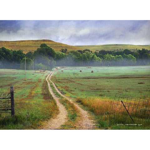 Tallgrass Road Hills and Hay Fields White Modern Wood Framed Art Print by Vest, Christopher