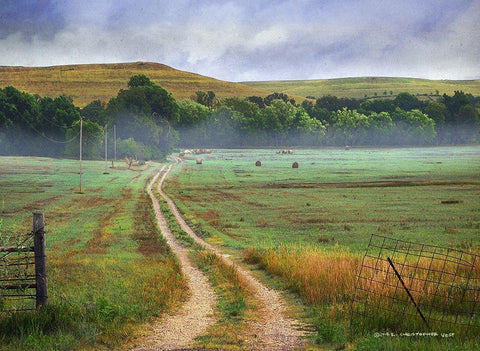 Tallgrass Road Hills and Hay Fields Black Ornate Wood Framed Art Print with Double Matting by Vest, Christopher