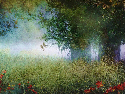 Cottonwood Fog Black Ornate Wood Framed Art Print with Double Matting by Vest, Christopher