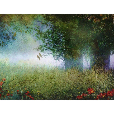 Cottonwood Fog Gold Ornate Wood Framed Art Print with Double Matting by Vest, Christopher