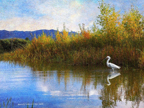 The Marsh Snowy Egret White Modern Wood Framed Art Print with Double Matting by Vest, Christopher