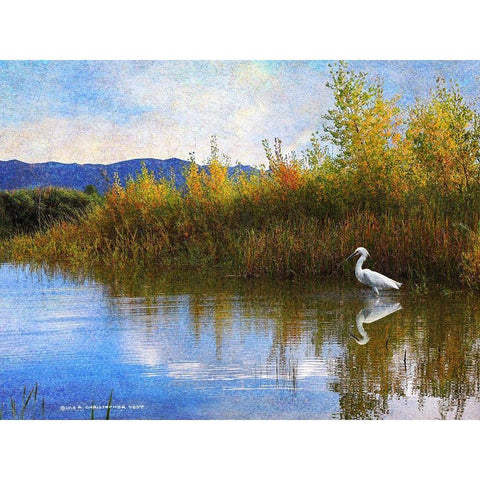 The Marsh Snowy Egret White Modern Wood Framed Art Print by Vest, Christopher