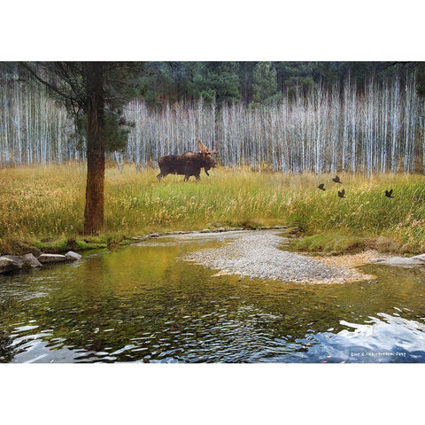 Moose in Forest Aspens  Gold Ornate Wood Framed Art Print with Double Matting by Vest, Christopher