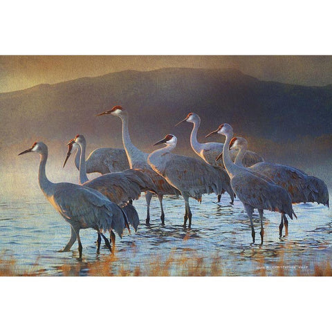 Bosque Dawn Cranes Black Modern Wood Framed Art Print with Double Matting by Vest, Christopher