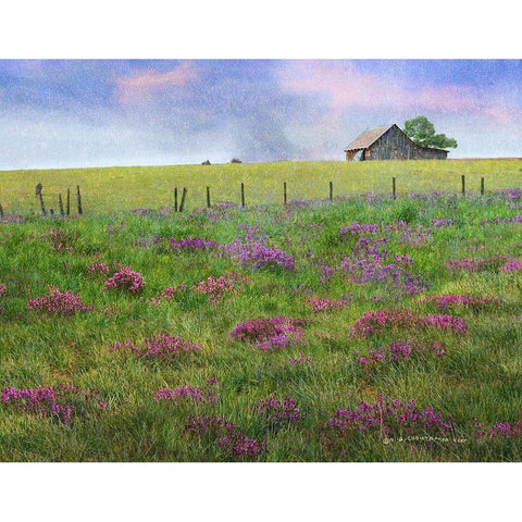 Barn Locoweed White Modern Wood Framed Art Print by Vest, Christopher