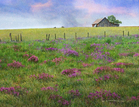 Barn Locoweed White Modern Wood Framed Art Print with Double Matting by Vest, Christopher