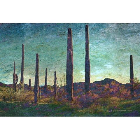 Saguaros Pastel White Modern Wood Framed Art Print by Vest, Christopher