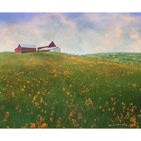 Meadow Farm Super Bloom Black Modern Wood Framed Art Print with Double Matting by Vest, Christopher