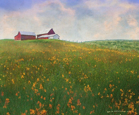 Meadow Farm Super Bloom Black Ornate Wood Framed Art Print with Double Matting by Vest, Christopher