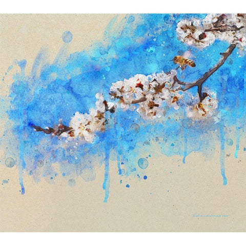 Apricot Blossom White Modern Wood Framed Art Print by Vest, Christopher