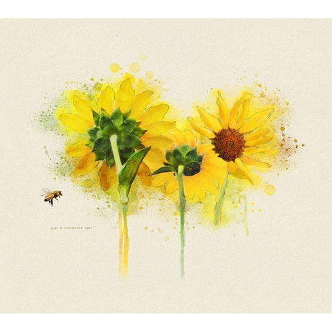 Three Sunflowers White Modern Wood Framed Art Print by Vest, Christopher