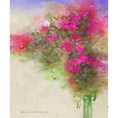 Cascade of Roses White Modern Wood Framed Art Print by Vest, Christopher