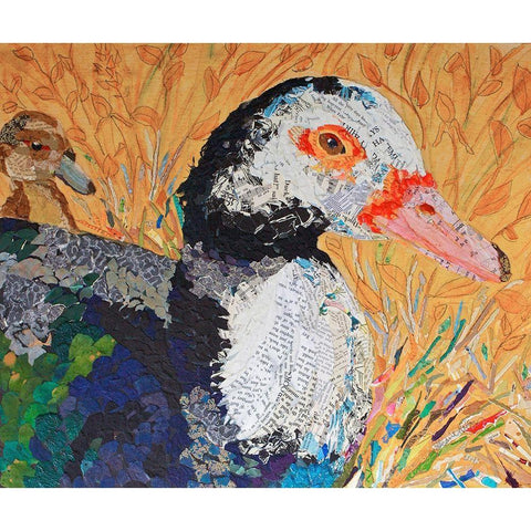 And the Duck Said Quack White Modern Wood Framed Art Print by St Hilaire, Elizabeth
