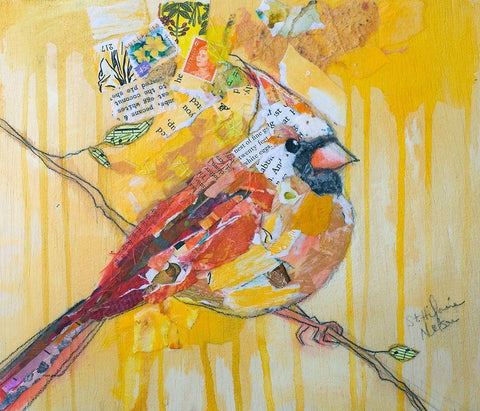 Female Cardinal White Modern Wood Framed Art Print with Double Matting by St Hilaire, Elizabeth