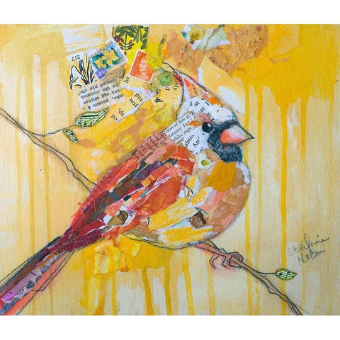 Female Cardinal Black Modern Wood Framed Art Print by St Hilaire, Elizabeth