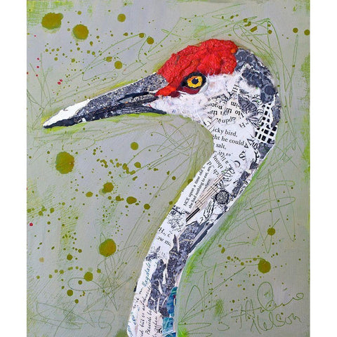 Red Head Heron White Modern Wood Framed Art Print by St Hilaire, Elizabeth
