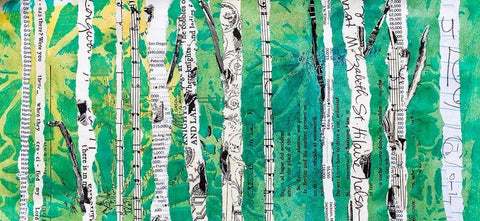 Birches Green  Black Ornate Wood Framed Art Print with Double Matting by St Hilaire, Elizabeth