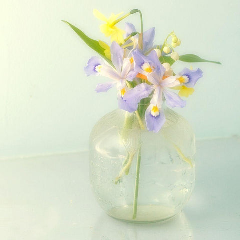 Soft Flower White Modern Wood Framed Art Print by Stalus, Judy