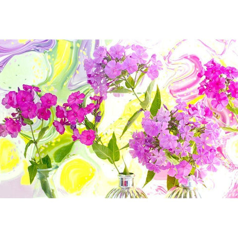 Magenta Phlox II White Modern Wood Framed Art Print by Stalus, Judy