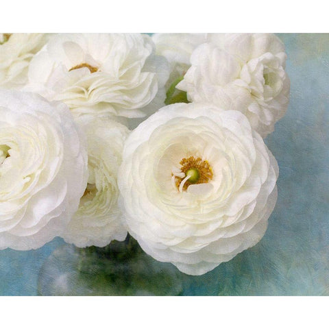 White Bouquet Black Modern Wood Framed Art Print with Double Matting by Stalus, Judy