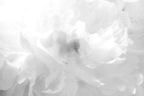 Clouds White Modern Wood Framed Art Print with Double Matting by Stalus, Judy