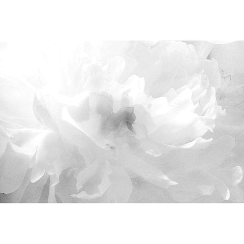 Clouds White Modern Wood Framed Art Print by Stalus, Judy