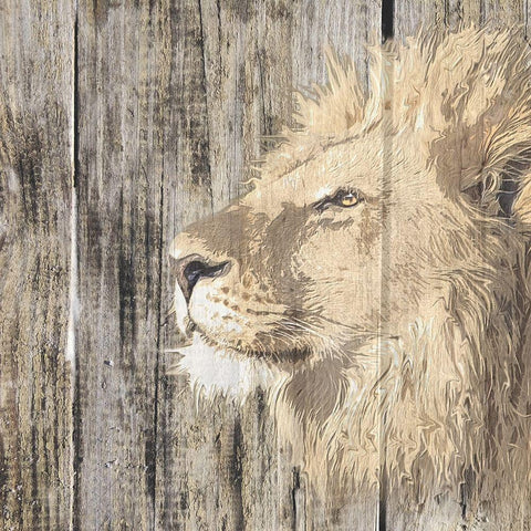 Wildheads Lion White Modern Wood Framed Art Print with Double Matting by Smith, Karen