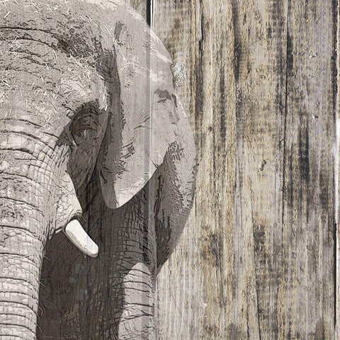 Wildheads Elephant Black Modern Wood Framed Art Print with Double Matting by Smith, Karen