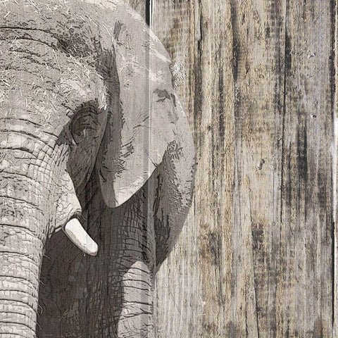 Wildheads Elephant White Modern Wood Framed Art Print with Double Matting by Smith, Karen