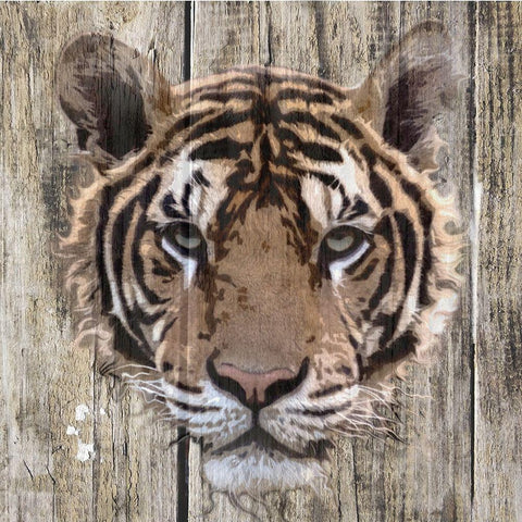 Wildheads Tiger White Modern Wood Framed Art Print by Smith, Karen